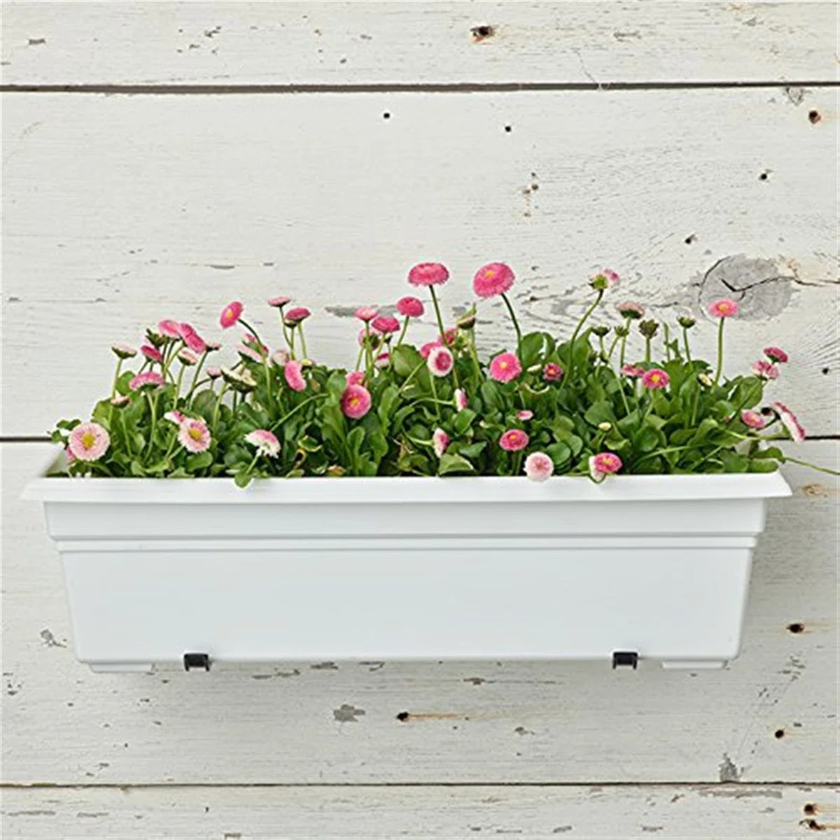 Arlmont & Co. Plastic Planter Box & Reviews | Wayfair | Wayfair North America