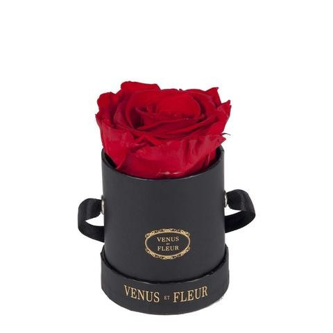 Le Mini™ Round | Venus ET Fleur