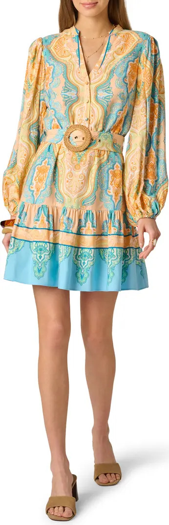 Long Sleeve Placed Print Dress | Nordstrom