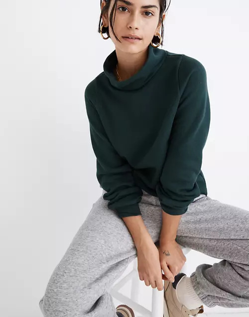 MWL Betterterry Relaxed Turtleneck Sweatshirt | Madewell