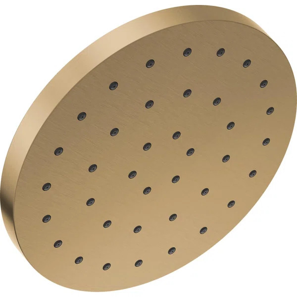 Rain Fixed Shower Head with H2Okinetic Technology, 2.5 GPM | Wayfair North America