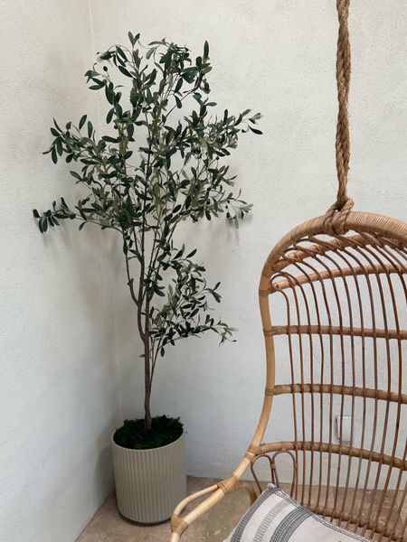 Faux 7ft olive tree-yes please. 

#LTKhome