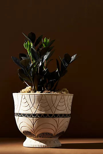 Alora Handpainted Pot | Anthropologie (US)
