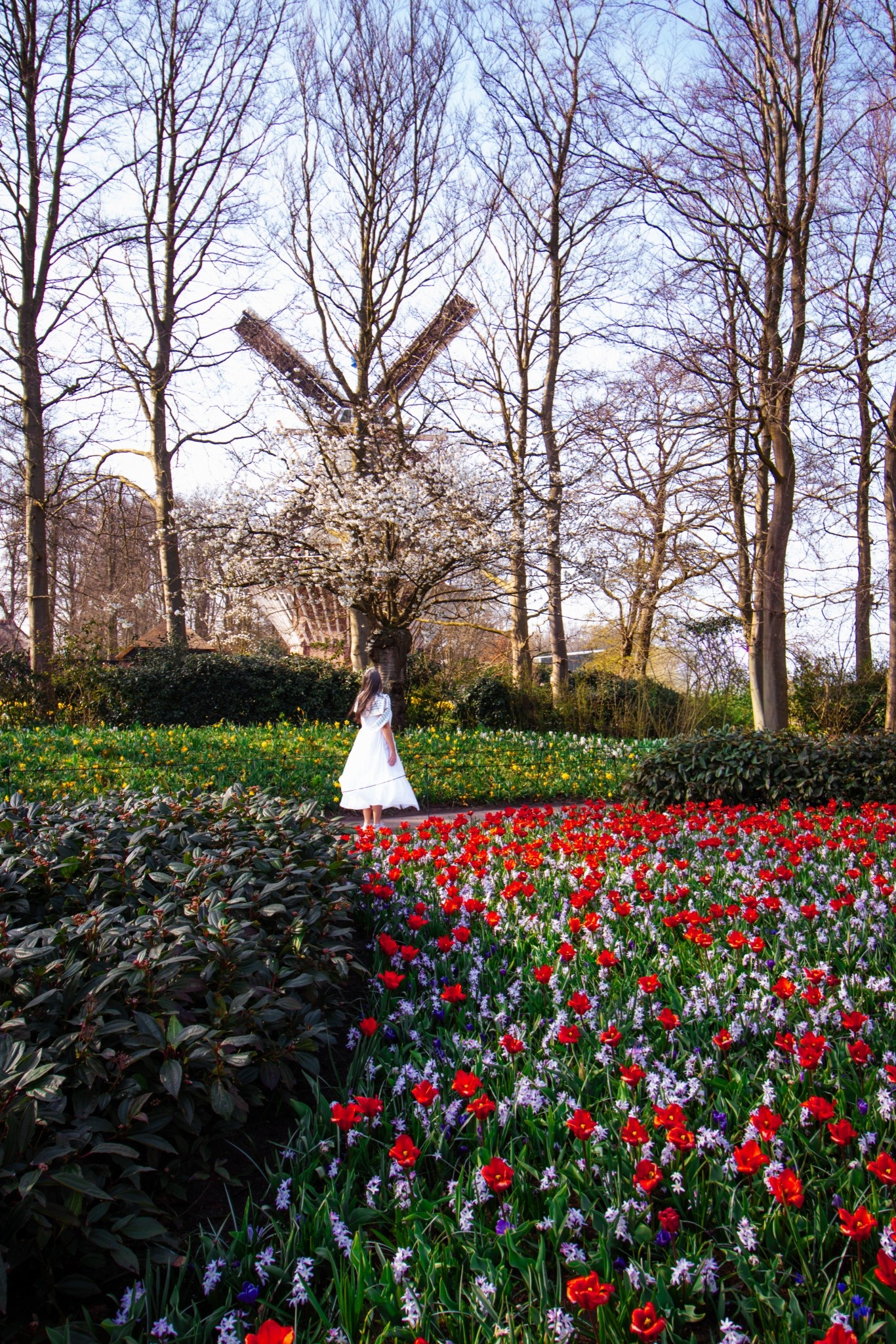 Tulip time in The Netherlands, Keukenhof, Tulip Garden, Tulip Fields, Amsterdam

#LTKTravel #LTKootd