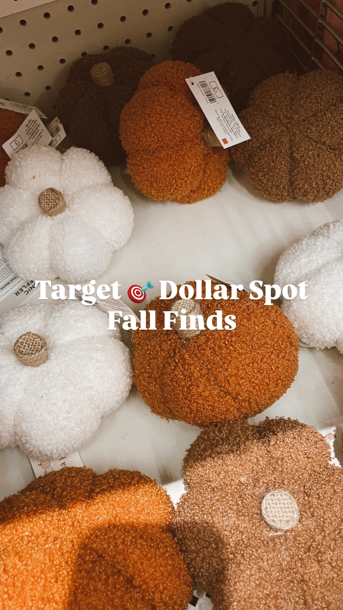 Fall dollar spot finds 🤎🍂

#LTKSaleAlert #LTKHome #LTKSeasonal