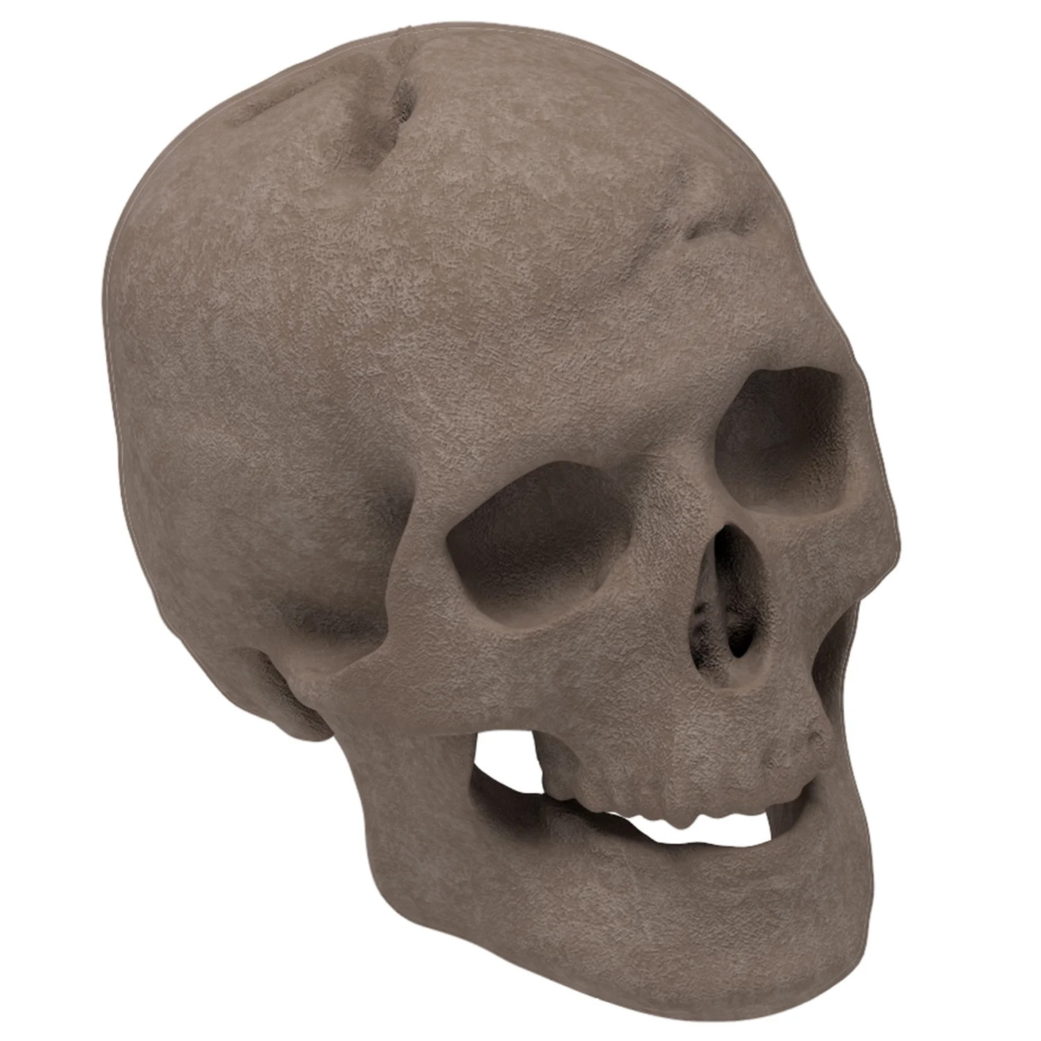 Regal Flame Human Skull Ceramic Wood Large Gas Fireplace Logs Logs for All Types of Gas Inserts, ... | Walmart (US)