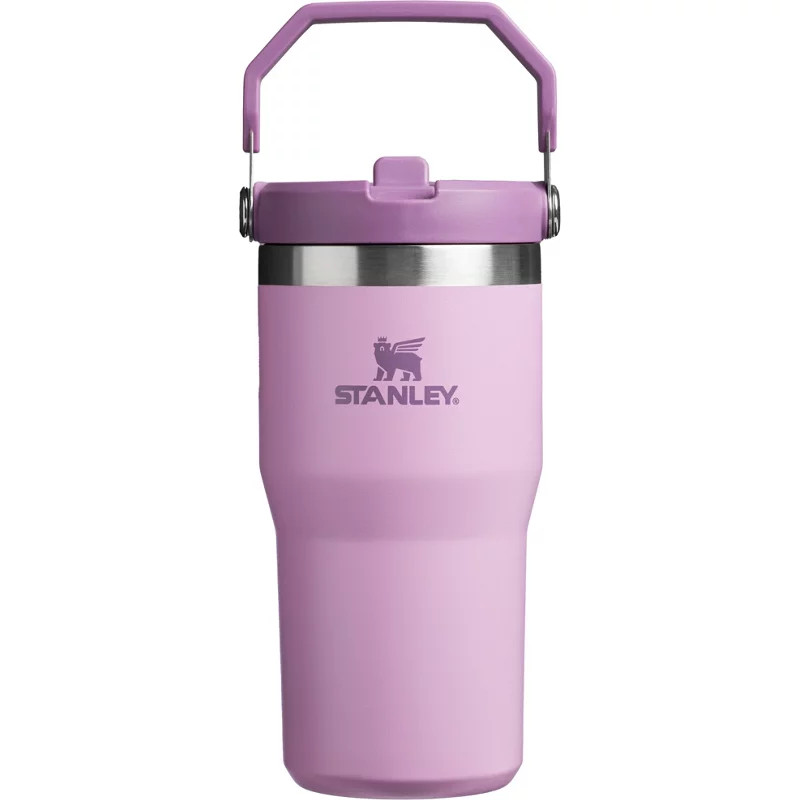 Stanley The IceFlow 20 oz Classic Flip Straw Tumbler Lilac - Thermos/Cups &koozies at Academy Sports | Academy Sports + Outdoors