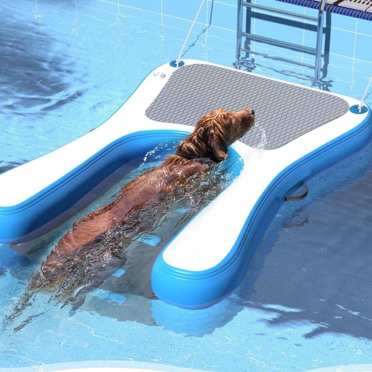 such a good summer accessory tool! I want this for my dogs at the lake! 

#LTKPets