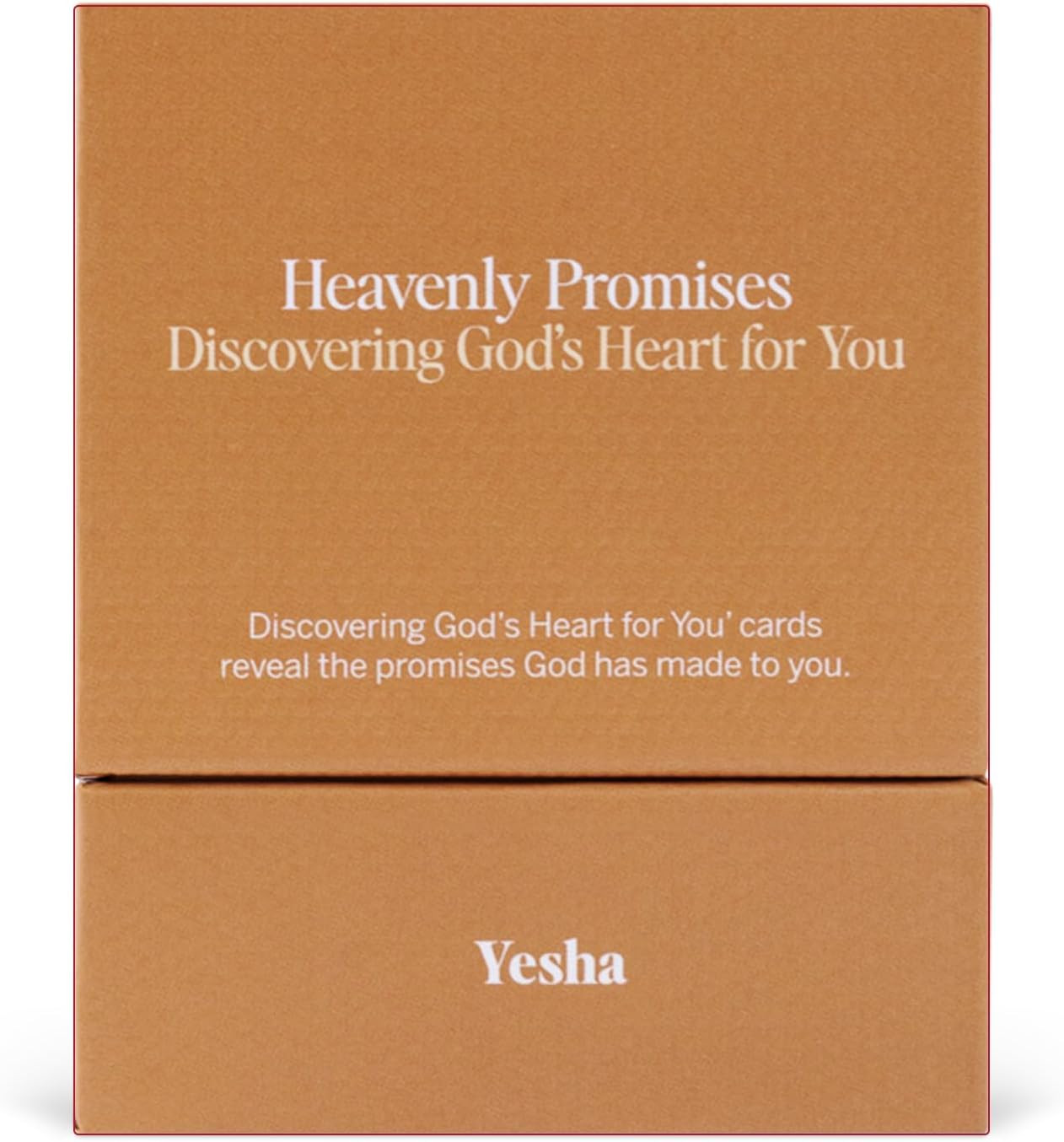 Christian Promise Cards for Men & Women – 52 Bible-Based Scripture and Prayer Cards with God’... | Amazon (US)