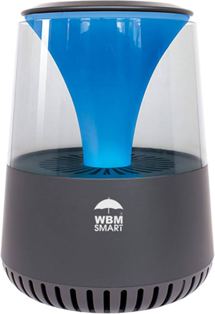 Hepa Air Purifier, with Bluetooth Speaker, Black | Amazon (US)