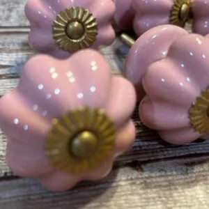 Set of 5 Athropologie Ceramic Vintage Style Porcelain Knobs Pulls Pink - Etsy | Etsy (US)