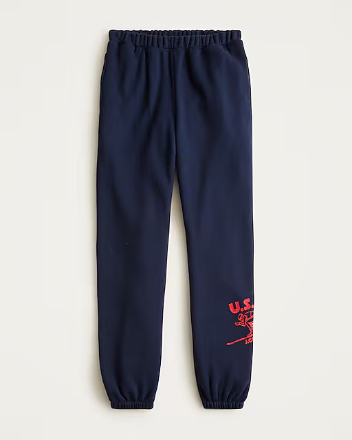 U.S. Ski & Snowboard by J.Crew heritage terry graphic jogger | J. Crew US