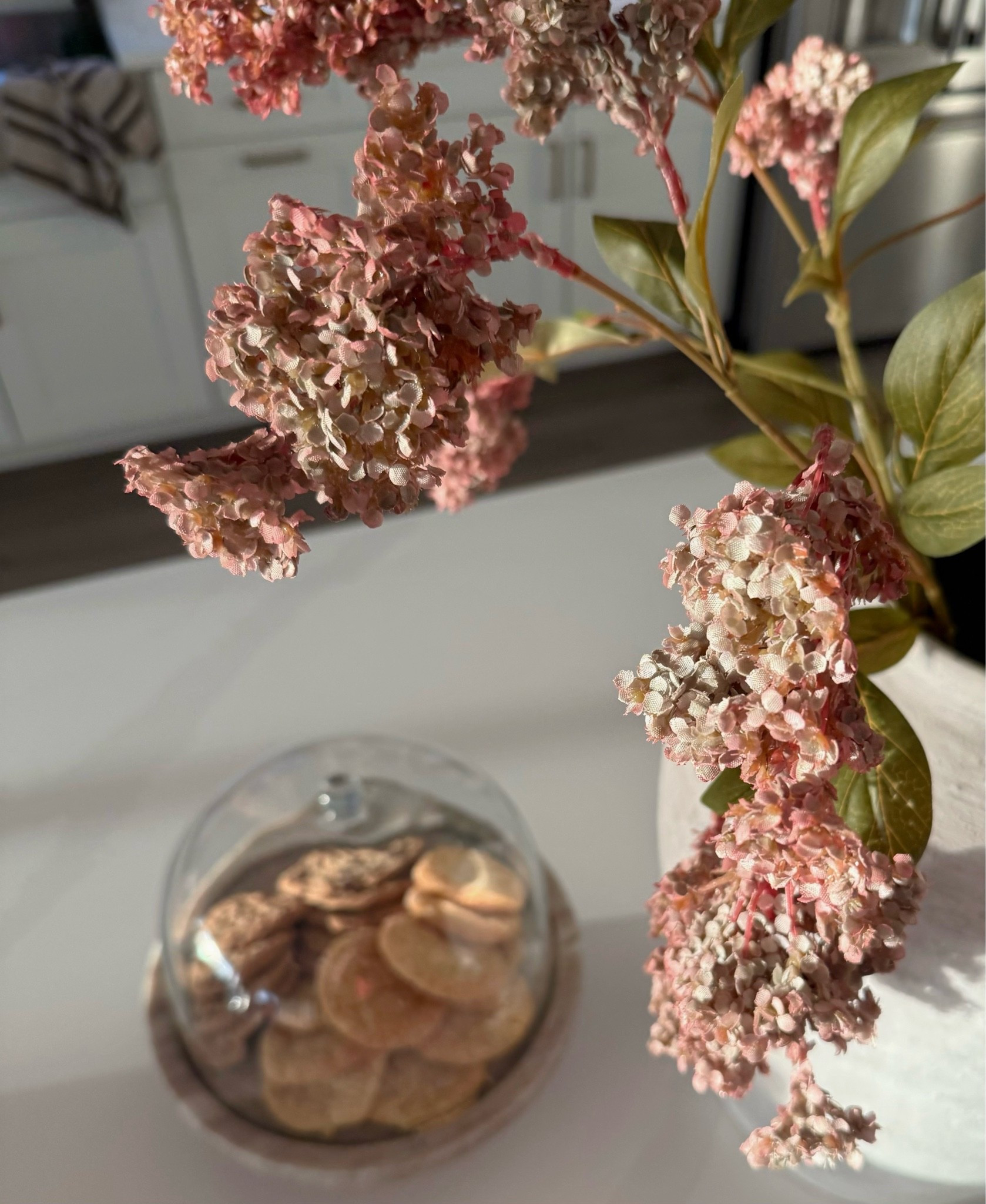 Fall decor, fall stems, flower stems, fall decorating




#michaels #floralstems #fallstems

#LTKSeasonal #LTKHome