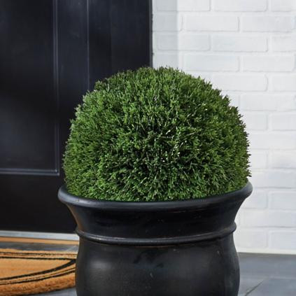 Single Cedar Pine Ball | Grandin Road