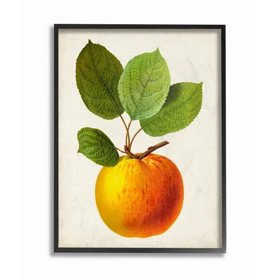 Stupell Industries Vintage Fruit Apple Painting Framed Giclee Texturized Art by Vision Studio | Walmart (US)