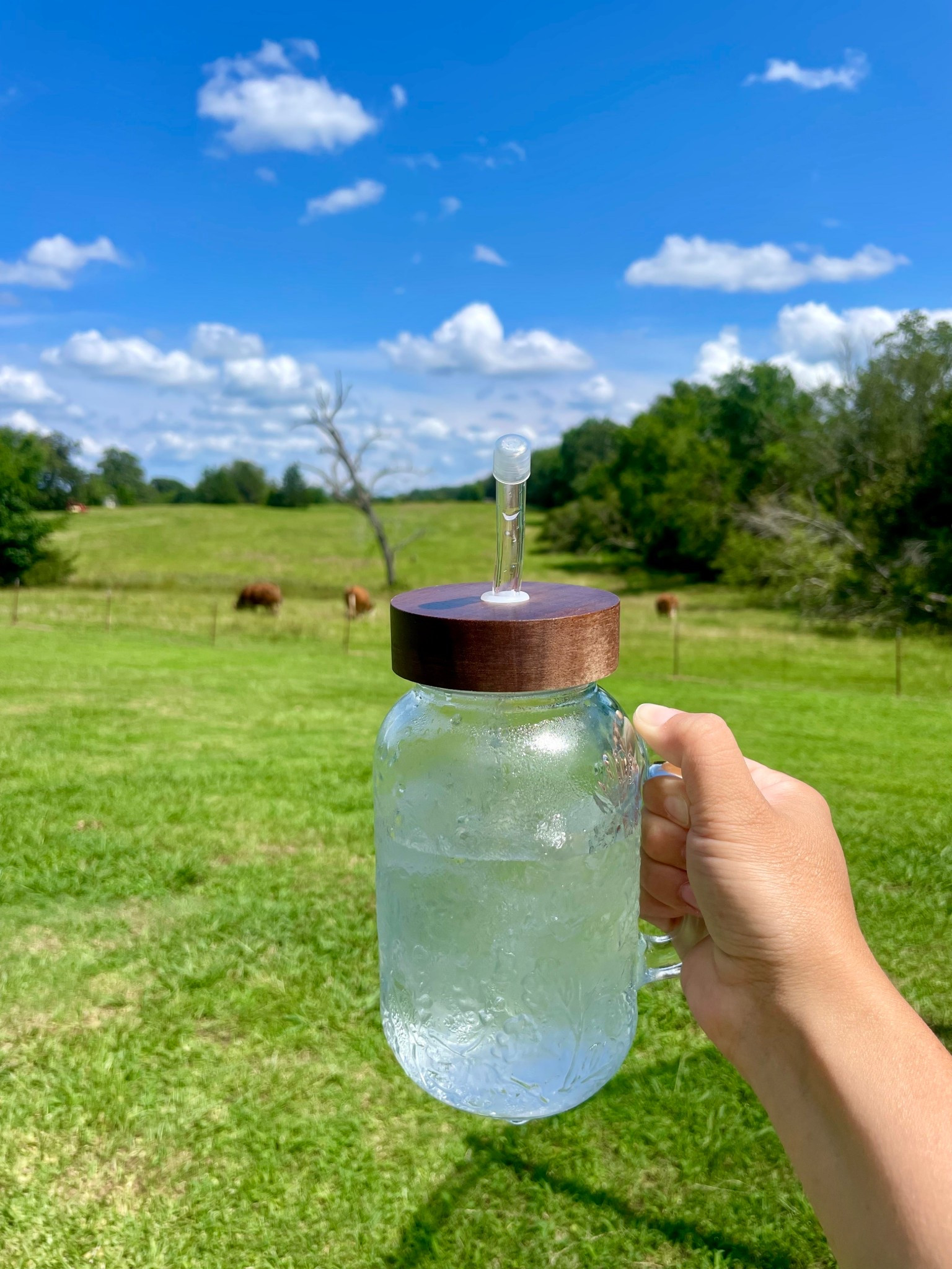 Tumbler of the summer — The $5 Pioneer Woman 32oz glass tumbler with glass straw! 🧊☀️ 

#LTKGiftGuide #LTKSummerEdit #LTKSeasonal