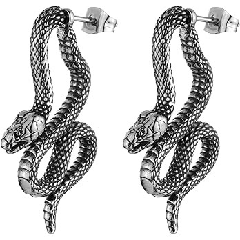 Amazon.com: HZMAN Stainless Steel Gothic Punk Hip Hop Personality Snake Stud Earrings Gifts for Men  | Amazon (US)