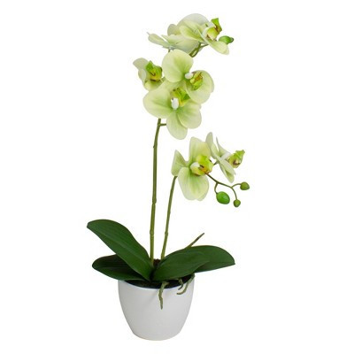 Northlight Real Touch™️ Artificial Orchid Potted Plant - 14" - White and Green | Target