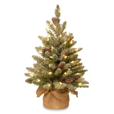 National Tree 2-Foot Snowy Concolor Fir Tree Pre-Lit with 50 Lights | Bed Bath & Beyond | Bed Bath & Beyond