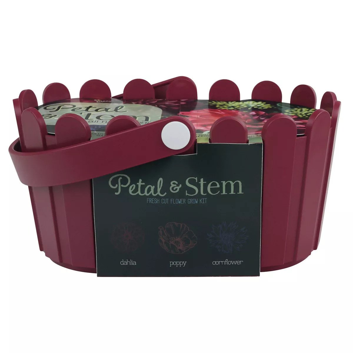 Buzzy Seeds Petal and Stem Fresh Cut Flower Garden Seed Kit | Target