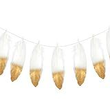 Wrapables Gold Dipped Feather Garland, Bohemian Party Decoration for Weddings, Parties, and Baby Sho | Amazon (US)