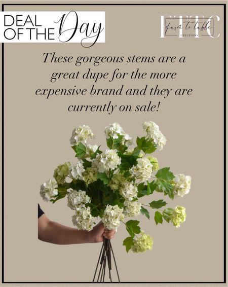 Deal of the Day. Follow @farmtotablecreations on Instagram for more inspiration.

Best selling 25" Faux Snowball Flower in Cream/Green, Real Touch Flowers. Designer Dupe. Afloral Spring Stems  

#LTKhome #LTKfindsunder50 #LTKsalealert