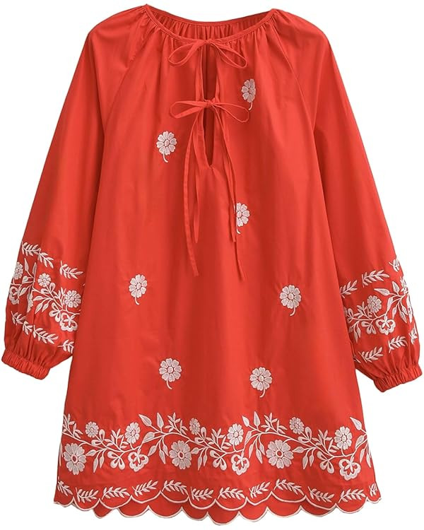 Womens Embroidered Long Sleeve Mini Dress Loose Fit Vintage Embroidery Dress with Double Neckline... | Amazon (US)