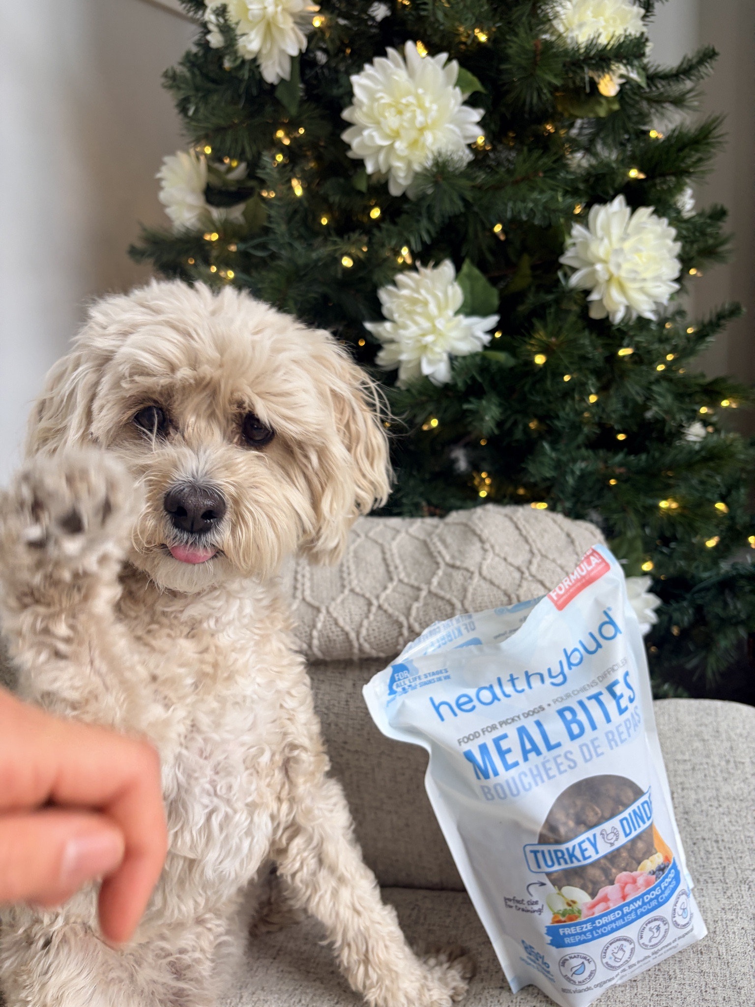 #LTKGiftGuide #LTKHoliday