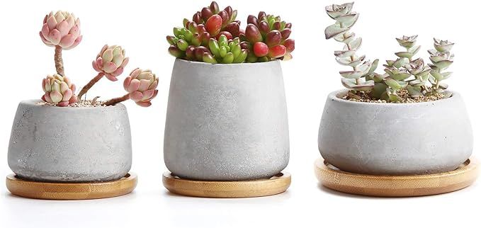 T4U 3 Inch - 4.25 Inch Cement Succulent Cactus Pot, Concrete Planter Pot Container Window Box, Sm... | Amazon (US)