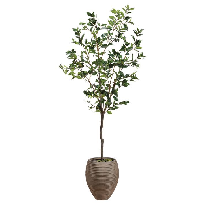 Faux Potted Laurel Tree w/ Planter | West Elm (US)