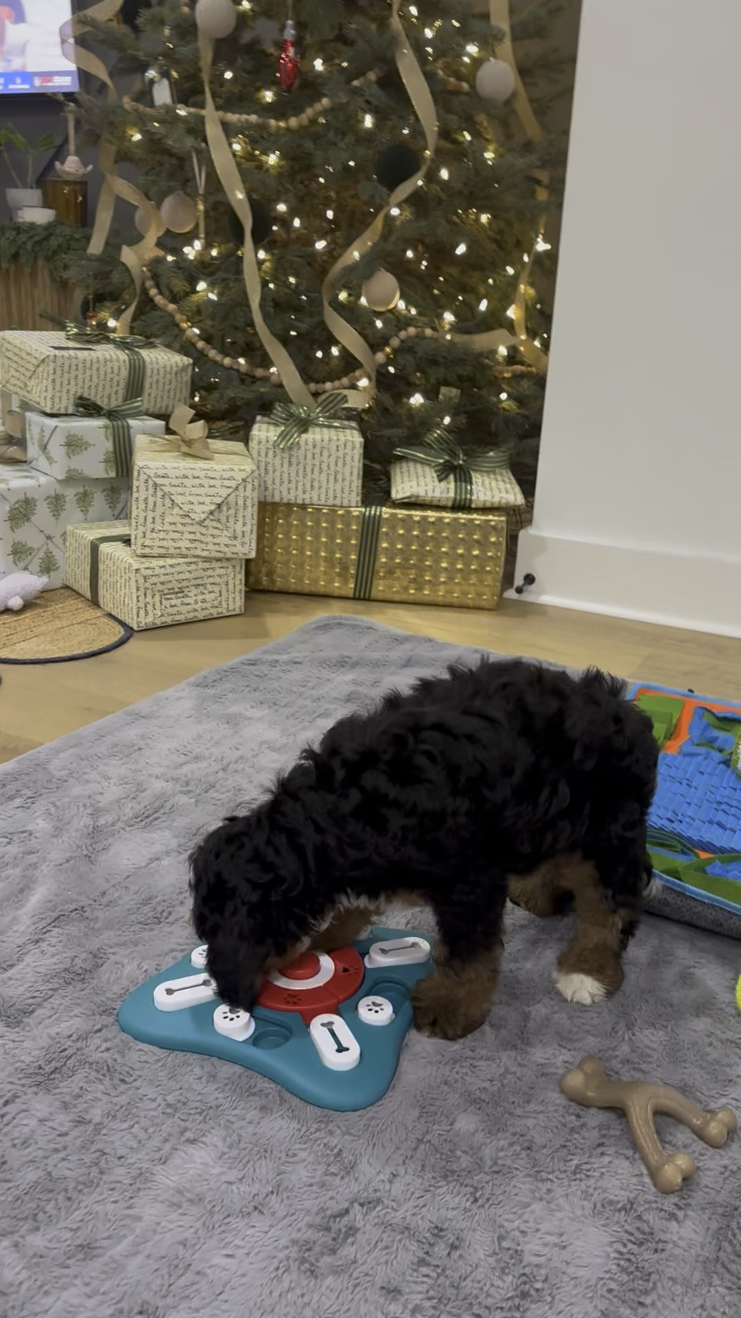 PETSTA Dog Puzzle Toys, Treat Dispensing Dog Enrichment Toys for IQ Training and Brain Stimulation, Interactive Mentally Stimulating Toys as Gifts for Puppies, Cats, Dogs

#LTKFindsUnder50 #LTKHome #LTKGiftGuide