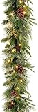 National Tree Company Pre-Lit 'Feel Real' Artificial Christmas Garland, Green, Colonial Fir, Whit... | Amazon (US)