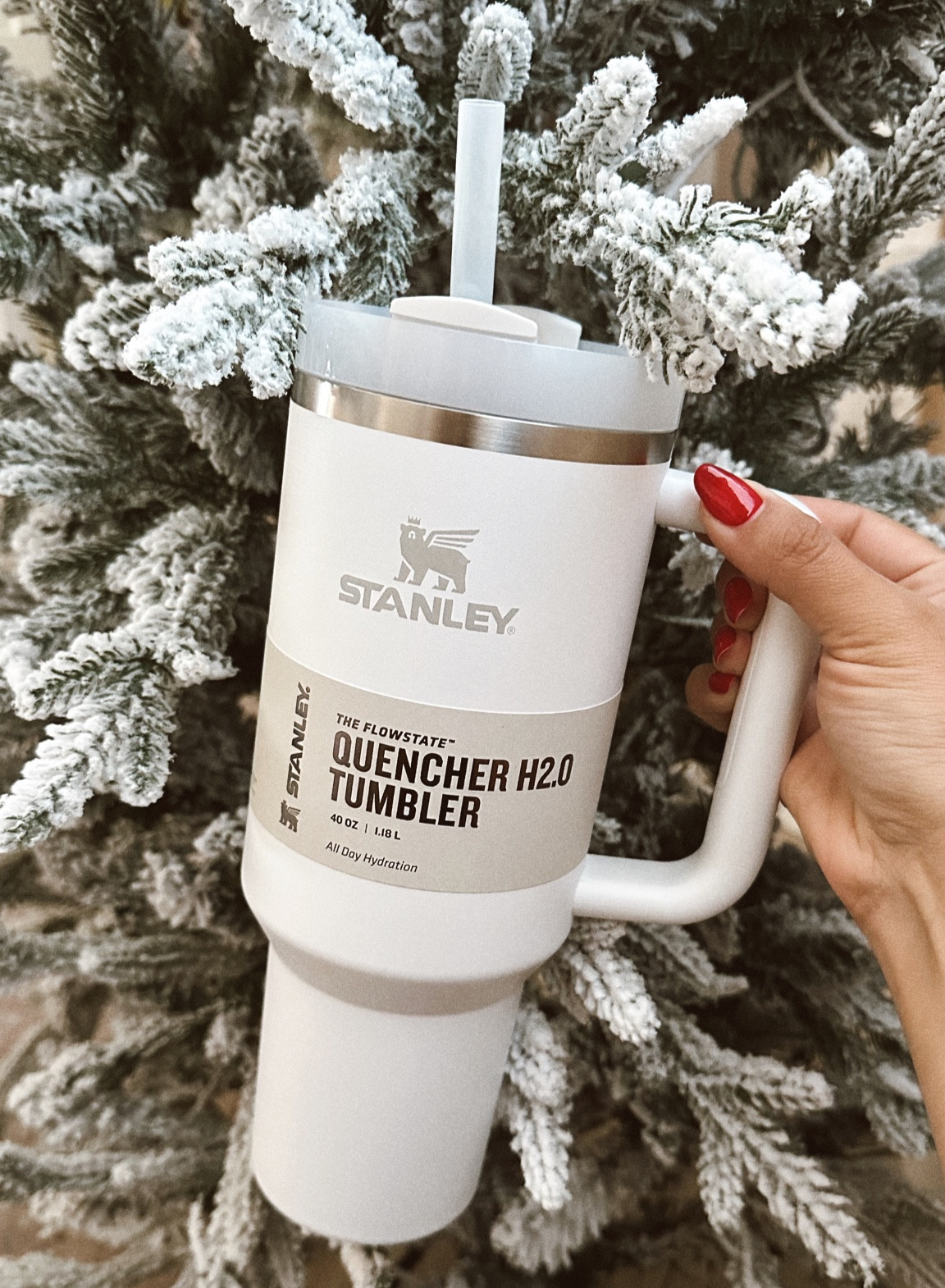 Stanley frost 🤍⛄️ the perfect holiday gift for anyone on your list! Comes in 30 & 40 oz #stanleypartner #stanley #stanleythirstquencher #giftidea #giftguide #teachergift #friendgift #giftunder40 #giftunder50 #holidaygift #christmasgift  

#LTKHoliday #LTKfindsunder50 #LTKGiftGuide
