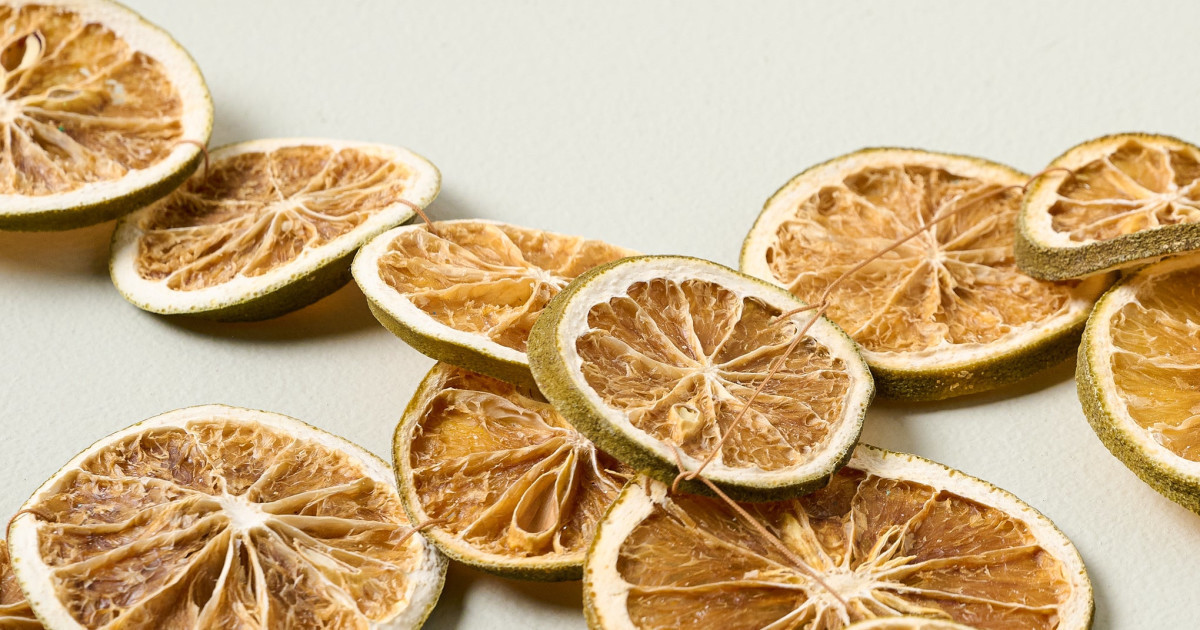 Dried Citrus Slice Garland | Magnolia