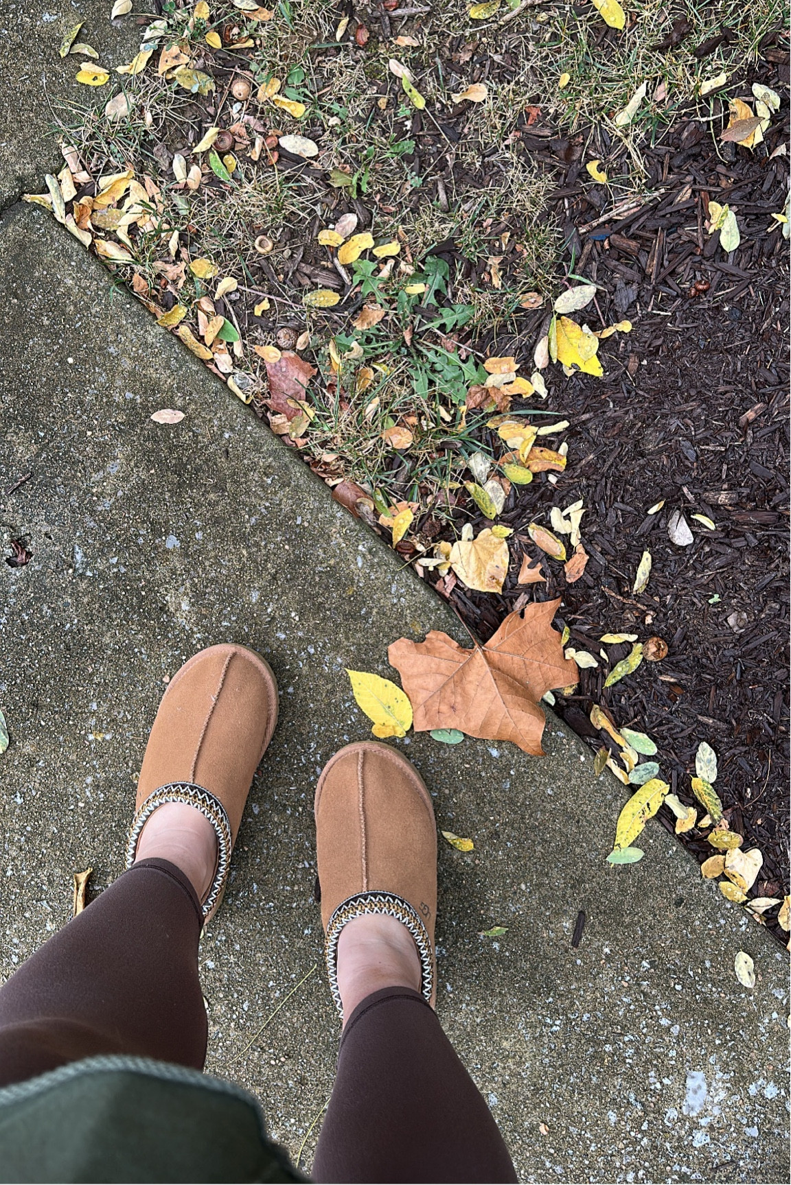 Ugg Taz slippers/mules - tts, size 7

#LTKSeasonal #LTKGiftGuide #LTKshoecrush