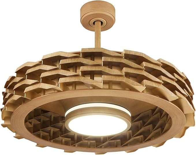 Todays Fans LUMIO Bladeless Ceiling Fan, 6 Speeds with Dimmable LED Light (28", Wood) | Amazon (US)
