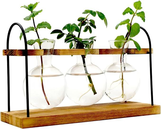 Ahhute Plant Propagation Stations Terrarium with Wooden Stand-Desktop Glass Bulb Plant Vase Metal... | Amazon (US)