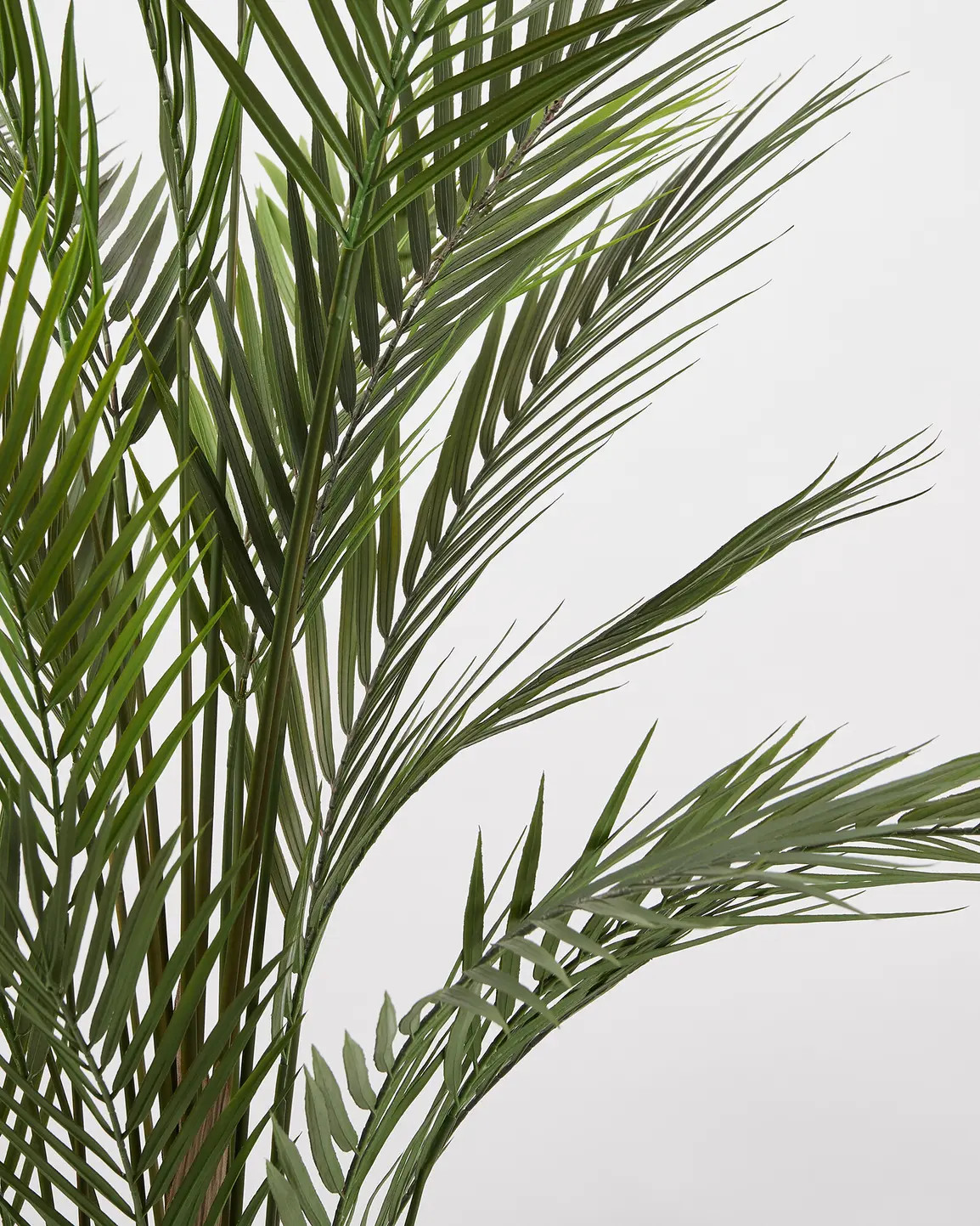 Areca Palm Artificial Plant | Oliver Bonas | Oliver Bonas (Global)