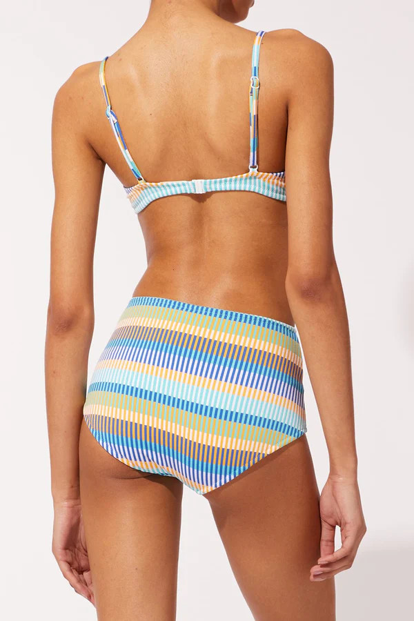 The Ginger Bottom TECHNICOLOR MOSAIC | Solid & Striped