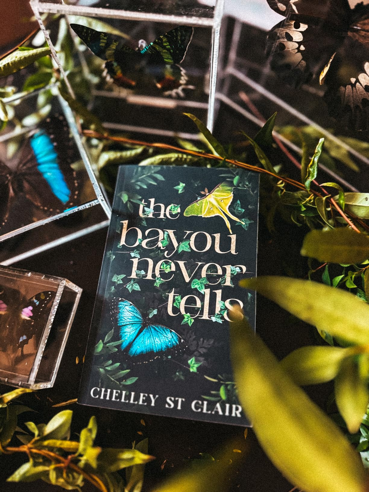 The Bayou Never Tells | Amazon (US)