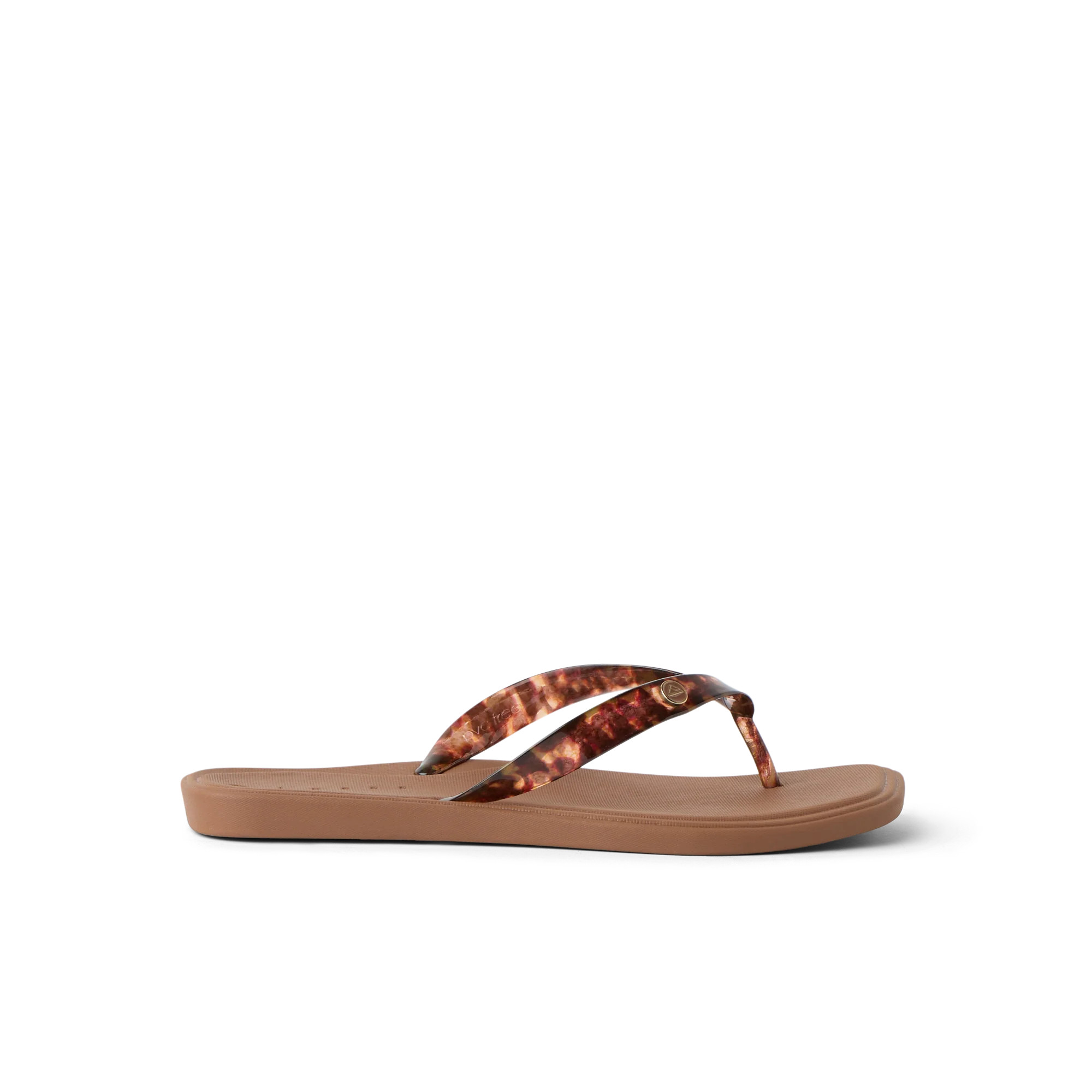 Solaye | REEF