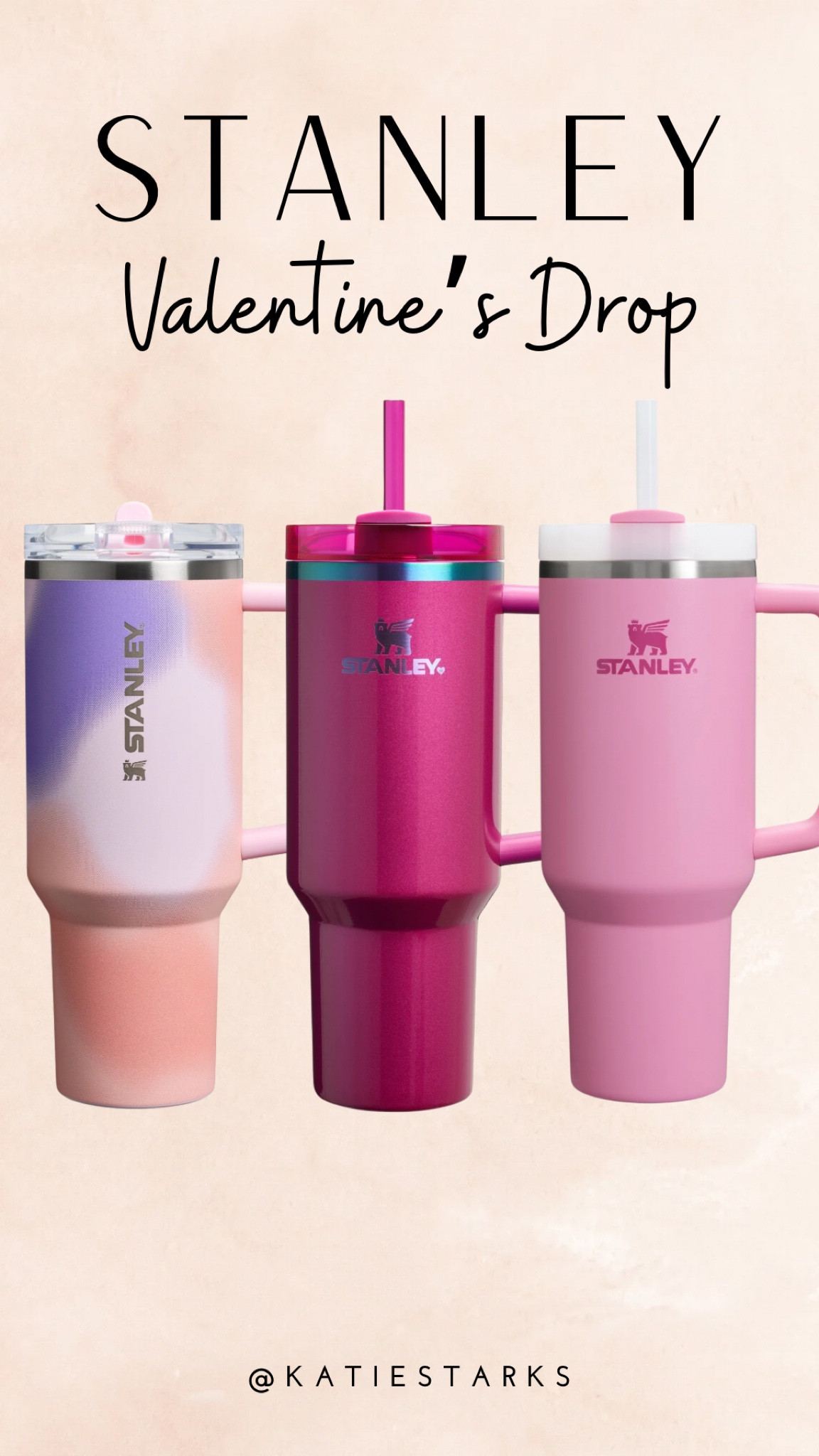 Stanley’s Valentine’s Day drop! 

#LTKFindsUnder50 #LTKSeasonal #LTKGiftGuide