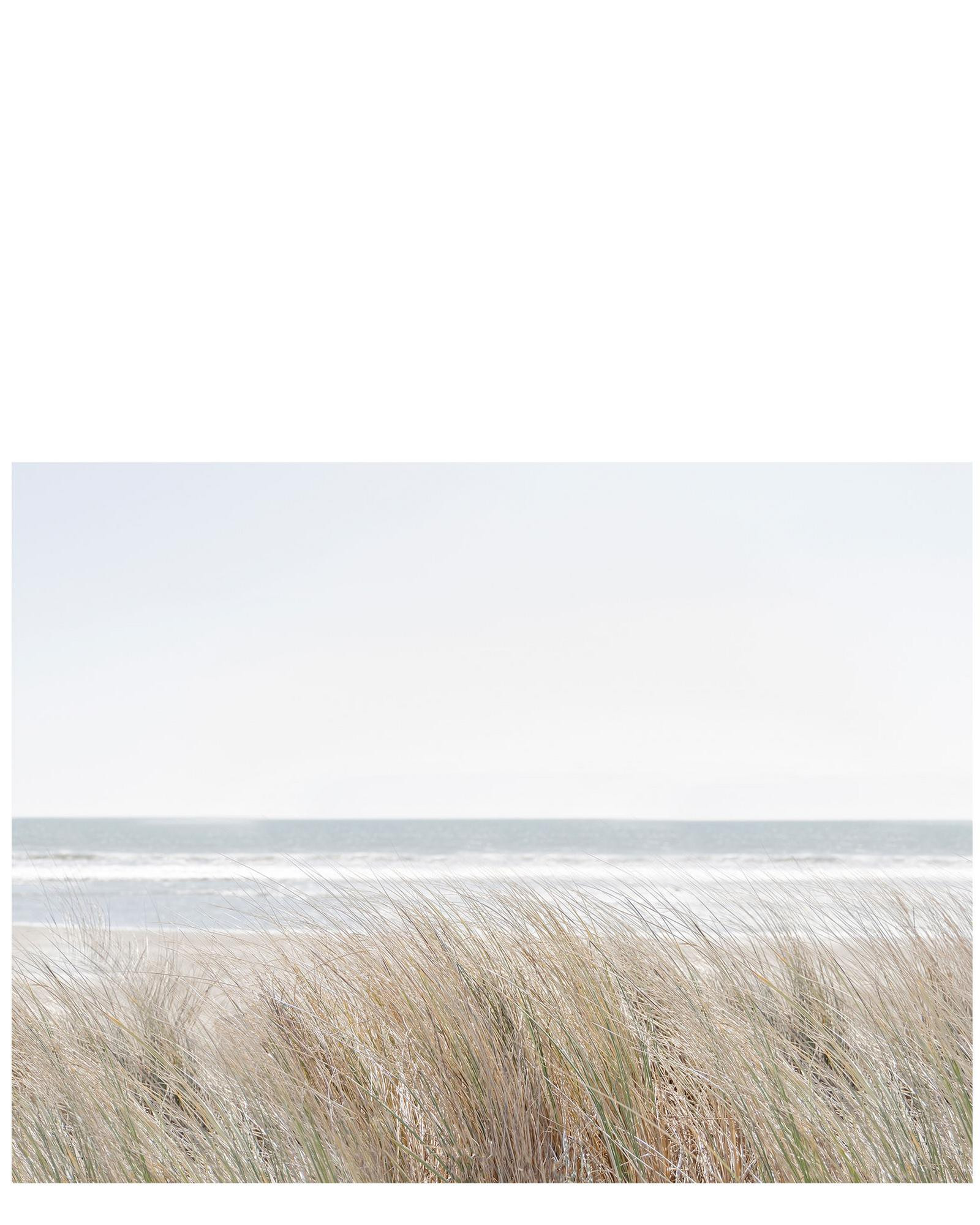 Windy Beach Dunes by Caroline Pacula | Serena and Lily