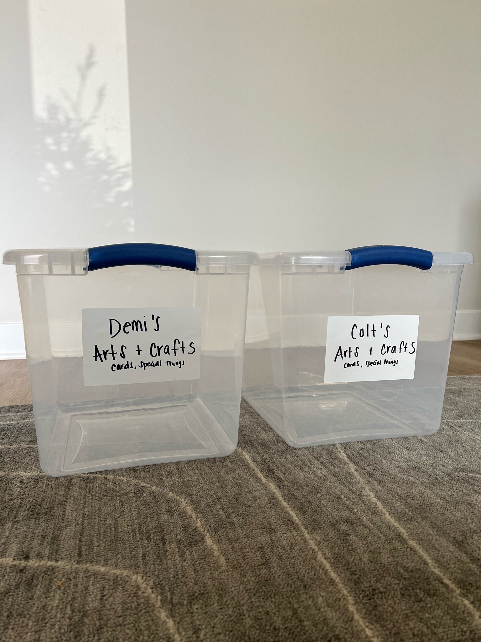 Perfect sized bins to store / organize kids art projects and crafts