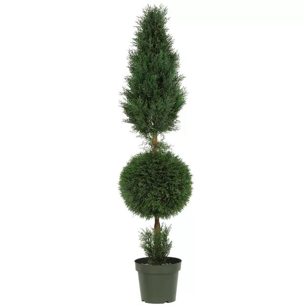 Cypress Ball and Cone Round Tapered Topiary in Pot | Wayfair North America