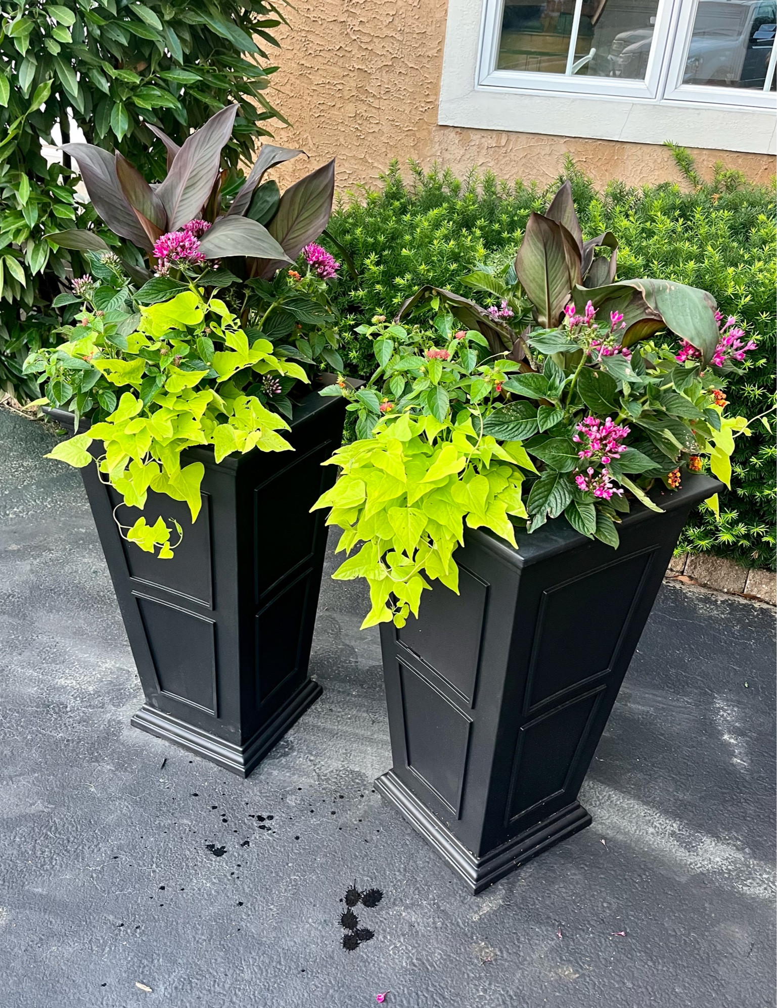 Self watering planters are WORTH IT!! Go for it! Pay the little bit extra, install into your current planters, make it happen! Come August, you'll be thankful. Love these tall ones from wayfair! 

Planters, garden, plants, home, front door, tall planters 



#LTKSeasonal #LTKfindsunder100 #LTKhome