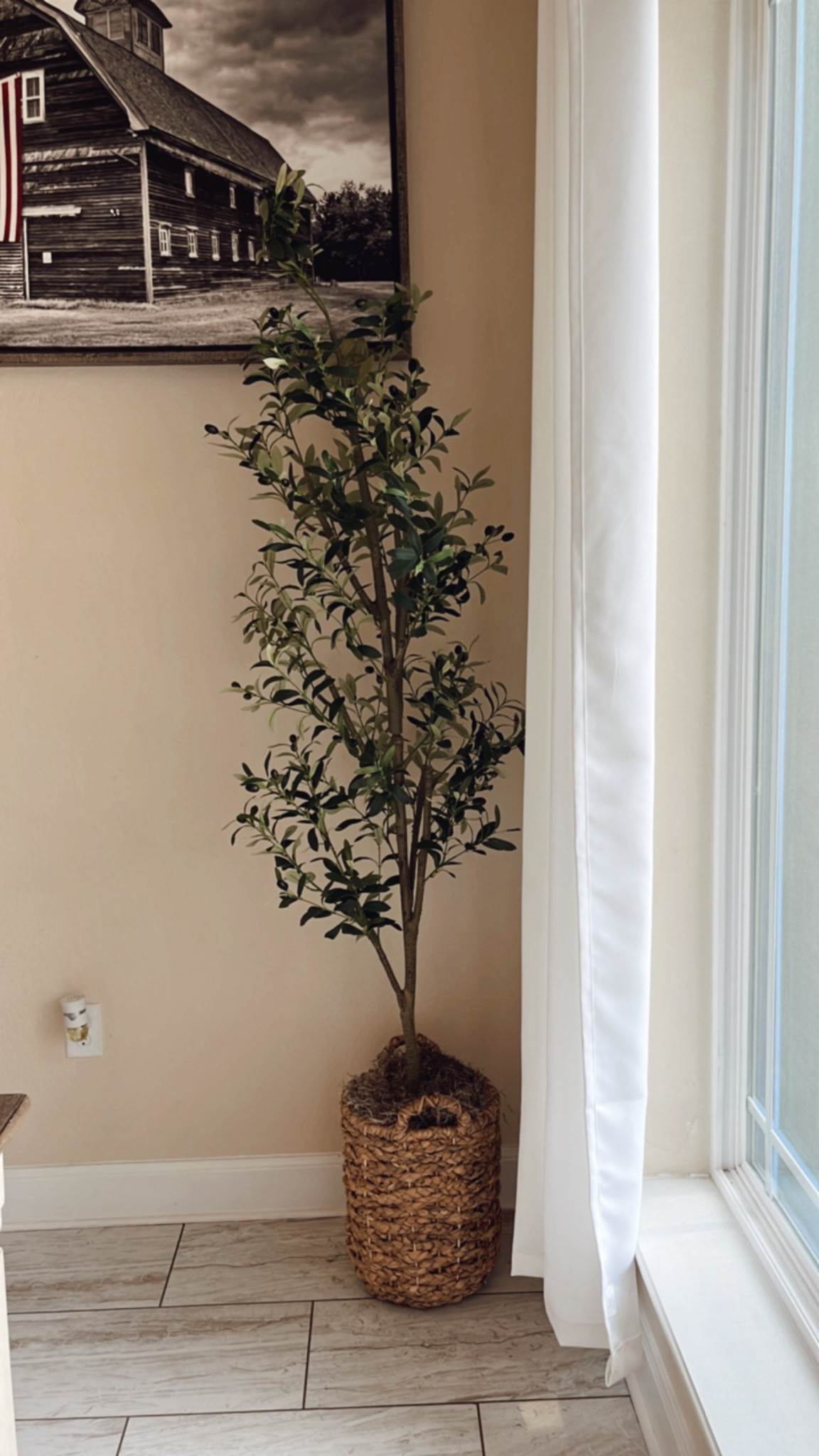 Amazon olive tree! 

#LTKFindsUnder100 #LTKSaleAlert #LTKHome