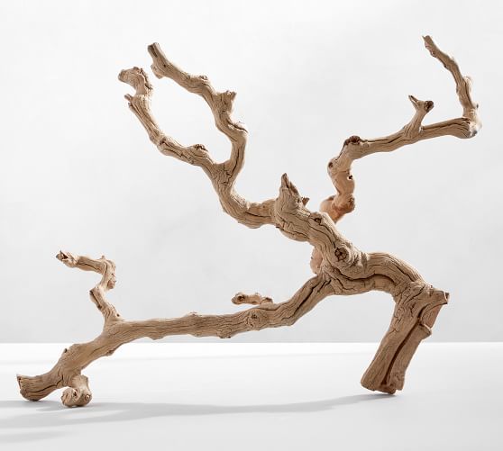 Dried Grapewood Branch | Pottery Barn (US)