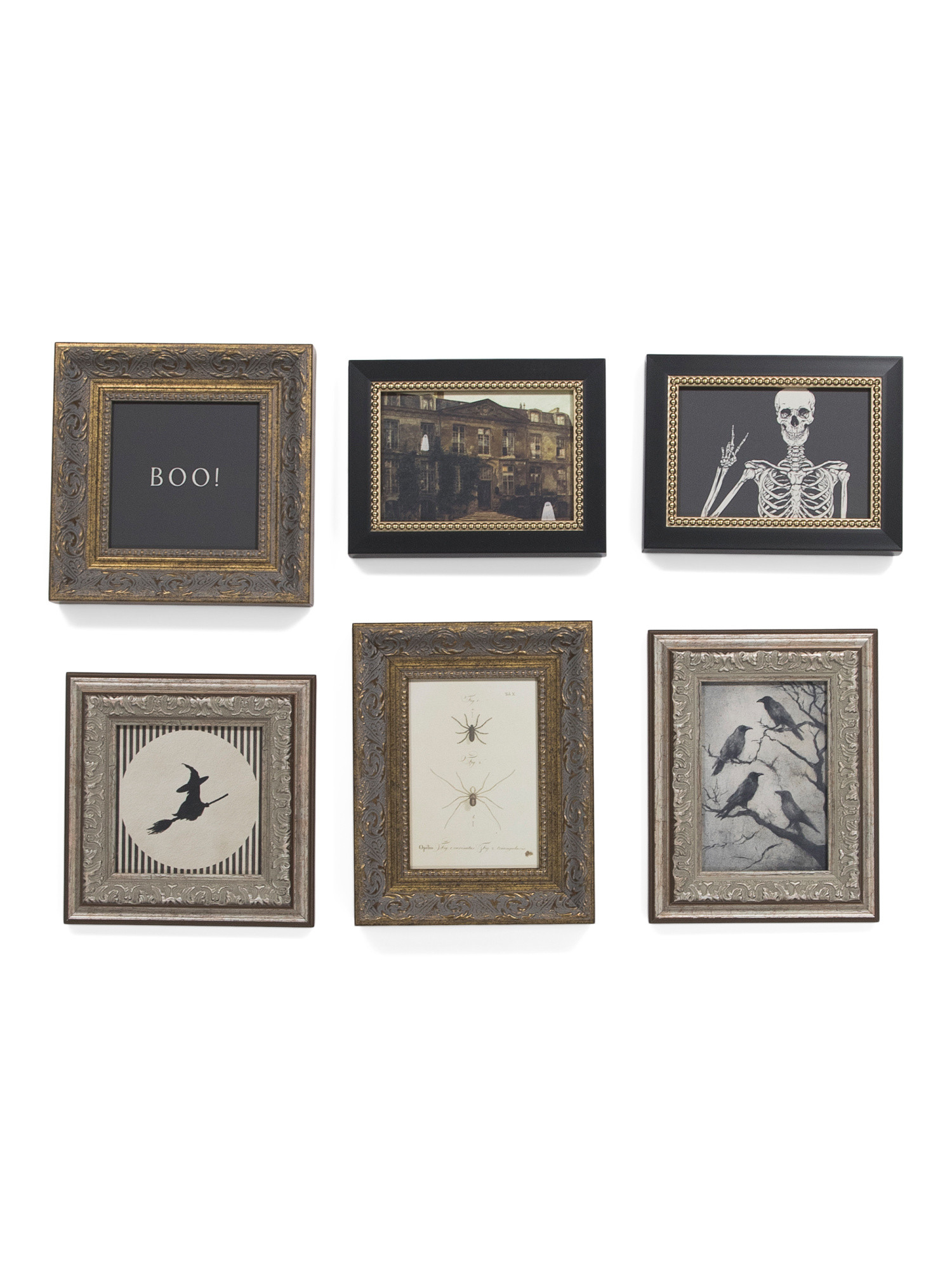 6pc Curated Curiosities Wall Art Set | TJ Maxx