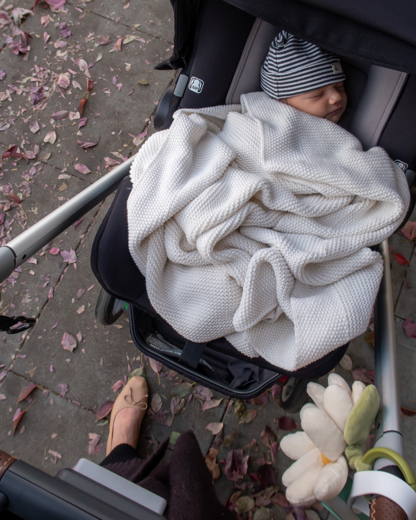 What I’m wearing postpartum lately + the ballet flats that took me through pregnancy and postpartum swelling 🤌🏼

Also rounded up a few baby things like the baby blanket and our stroller/car seat. 

#LTKbaby #LTKfamily #LTKshoecrush